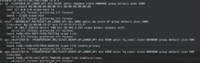 Gwlbtun created two new network interfaces